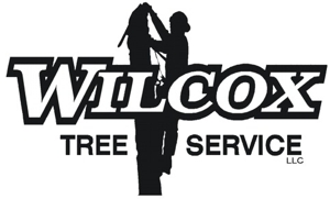 Wilcox Tree Service